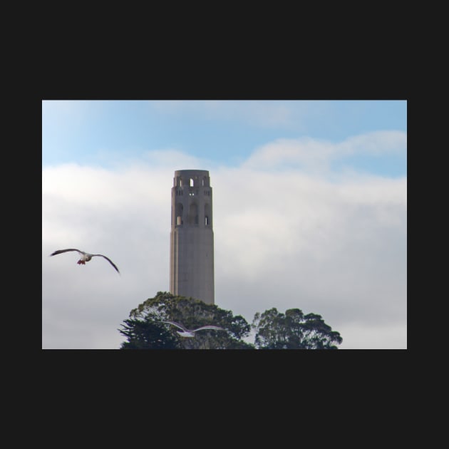 Coit Morning Vibrations by daviddenny