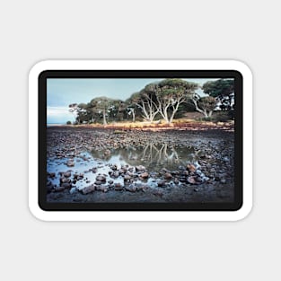 Pebbly beach, Phillip Island Magnet