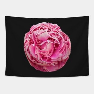 Peony arrangement Tapestry