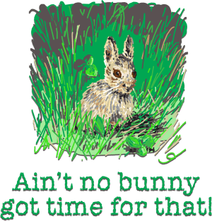 Ain't no Bunny got Time for That! Magnet