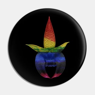 Rainbow painted flower Pin