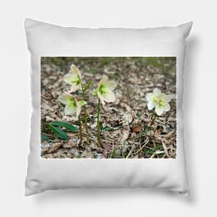 White Snow Roses Pillow