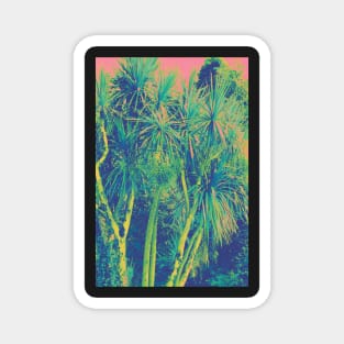 Colorful Tropical Palm Trees Magnet