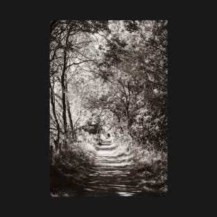 Small Path T-Shirt