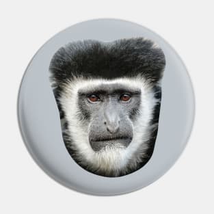 Expressive face of a Colobus monkey Pin