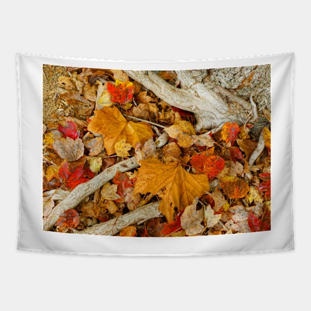 When November Comes 8 Tapestry by Rodwilliams