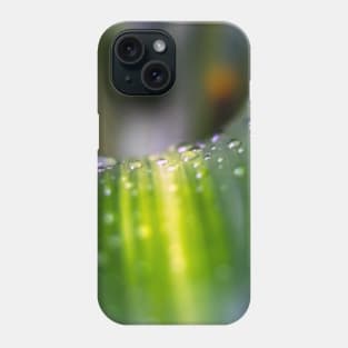 water on green plant Phone Case