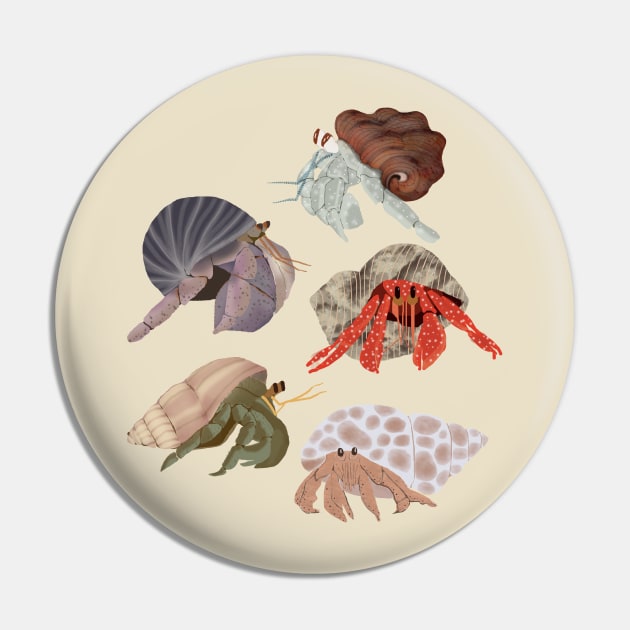 Hermit Crabs Pin by ahadden