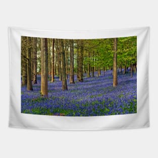 Bluebell Woods Greys Court Oxfordshire UK Tapestry