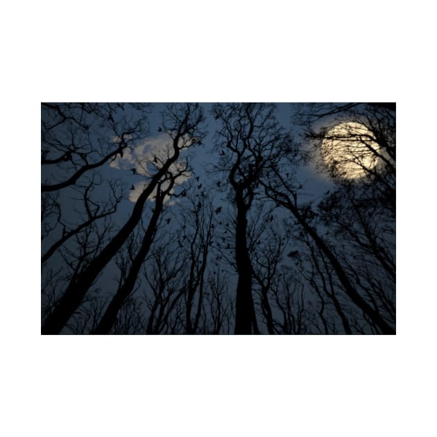 Surreal Haunted Forest During A Full Moon by JimDeFazioPhotography