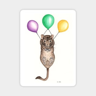 Degu with Balloons Magnet