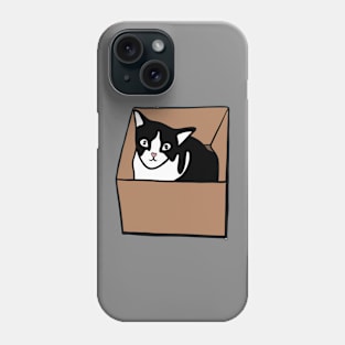 Cat in box Phone Case