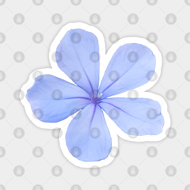 Blue Flower Photo Magnet by ellenhenryart