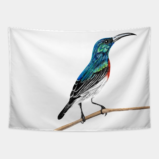 Sunbird illustration Tapestry by lorendowding