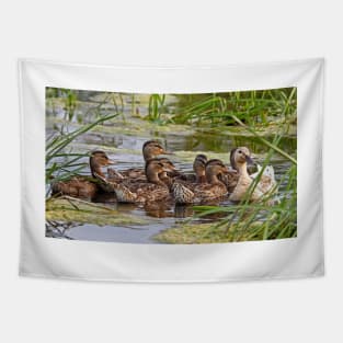 Momma duck and her kids Tapestry