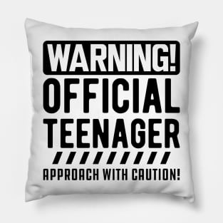 Warning! Official teenager approach with caution! Pillow