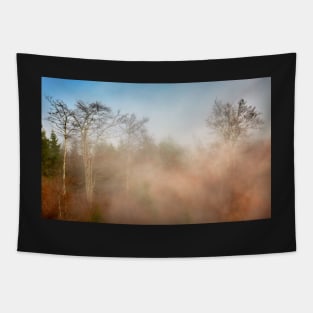 Mountain forest in fog Tapestry