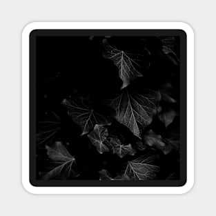 Black Leaves Magnet