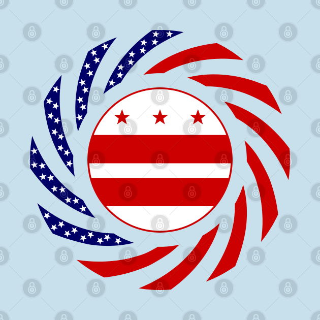 DC Murican Patriot Flag Series by Village Values