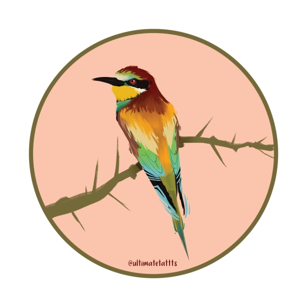 Euroasian Bee Eater by tattts