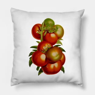 Tomato Pillow