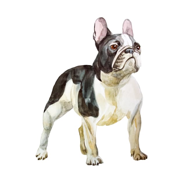 French bulldog by VicaVeresk