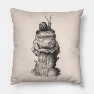 Frog and Snail Pillow