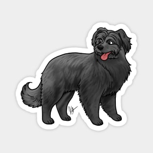 Dog - Pyrenean Shepherd - Black Magnet