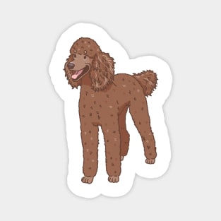 Chocolate Standard Poodle Magnet