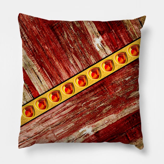 Wood and jewels Pillow by Gaspar Avila