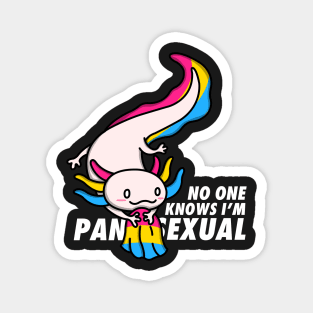 No One Knows I'm Pansexual Magnet