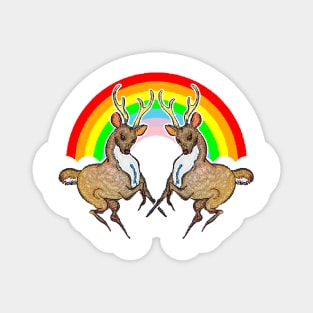 Beloved deer in the rainbow Magnet