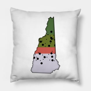 New HampshireTrout Pillow