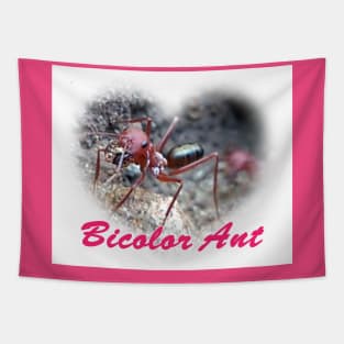 Bicolor Ant Tapestry