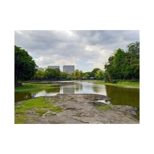 lagoon, water, park, people, green, travel, wood, nature, view, brown, philippines, wildlife, asia, zoo, lagoon, attraction T-Shirt