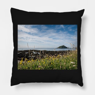 Mewstone Island from Wembury Point Pillow