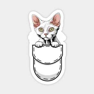 Funny Devon Rex Pocket Cat Magnet