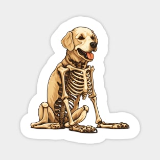 Skeleton Golden Retriever Dog Magnet