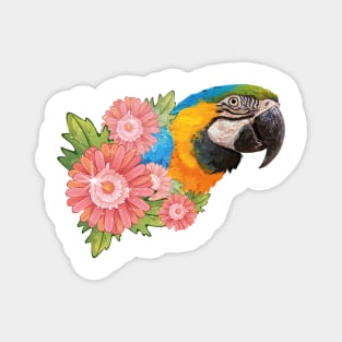 Blue and yellow macaw Magnet