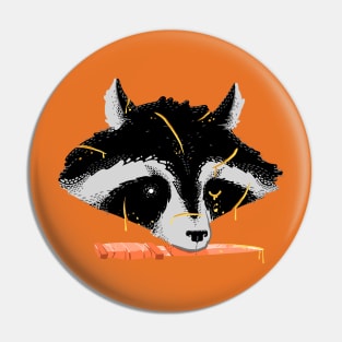 Raccoon Pin