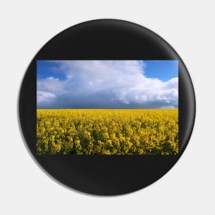 Rapeseed field Pin