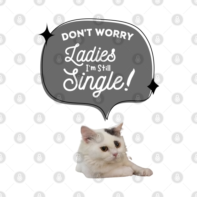 don't worry, i am still single by always.lazy