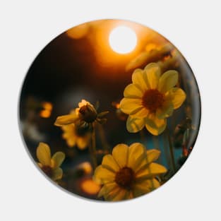 Sunflower At Night Pin