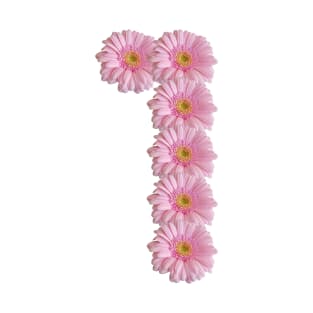 Letter l Pink Gerbera Daisy T-Shirt