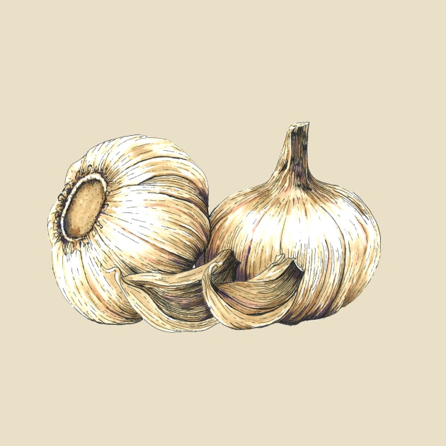 Garlic by LittleAmyLiz