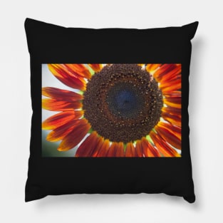 Sunflower Series IV Pillow