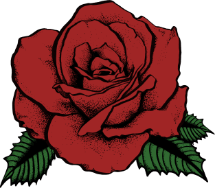 red rose Magnet