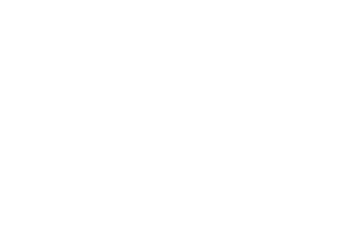 Hinkie Died for our sins Magnet