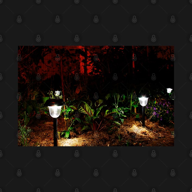 Garden Solar Lights in the Dark by jojobob