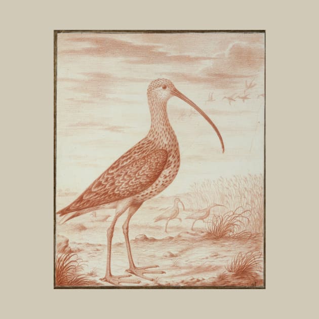 Curlews and Ducks by Nicolas Robert by Amanda1775